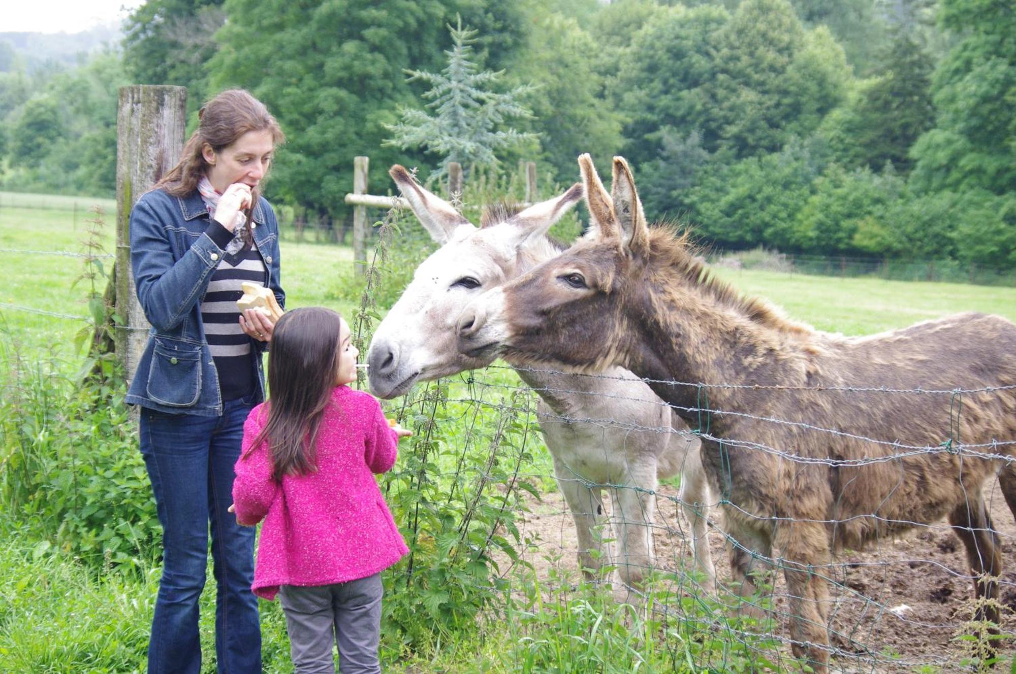 Camping Le Val De Trie Behen Bagian luar foto